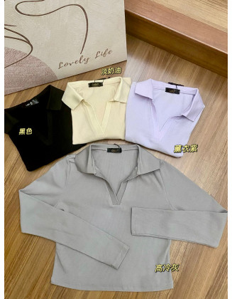 231 polo上衣